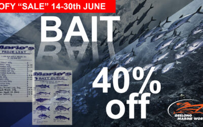 EOFY “SALE” – Bait 40% off
