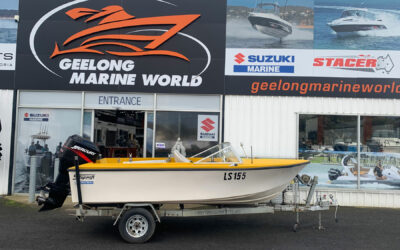 Stejcraft 1991 Runabout