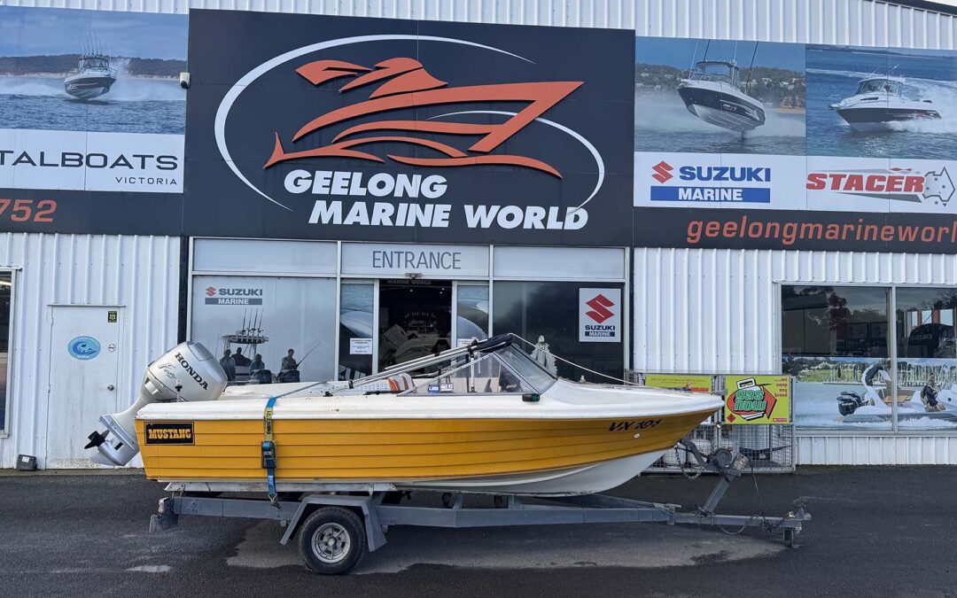 Mustang 15ft Runabout