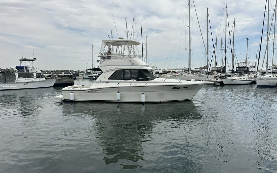 Riviera 36 Platinum Flybridge